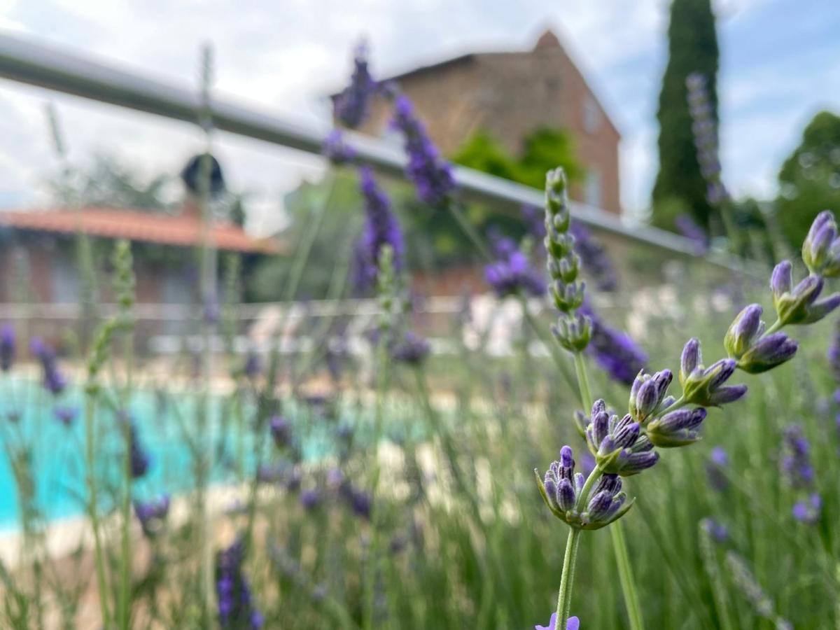 La Bacaia Villa Marciano della Chiana Dış mekan fotoğraf