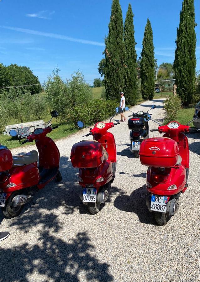 La Bacaia Villa Marciano della Chiana Dış mekan fotoğraf
