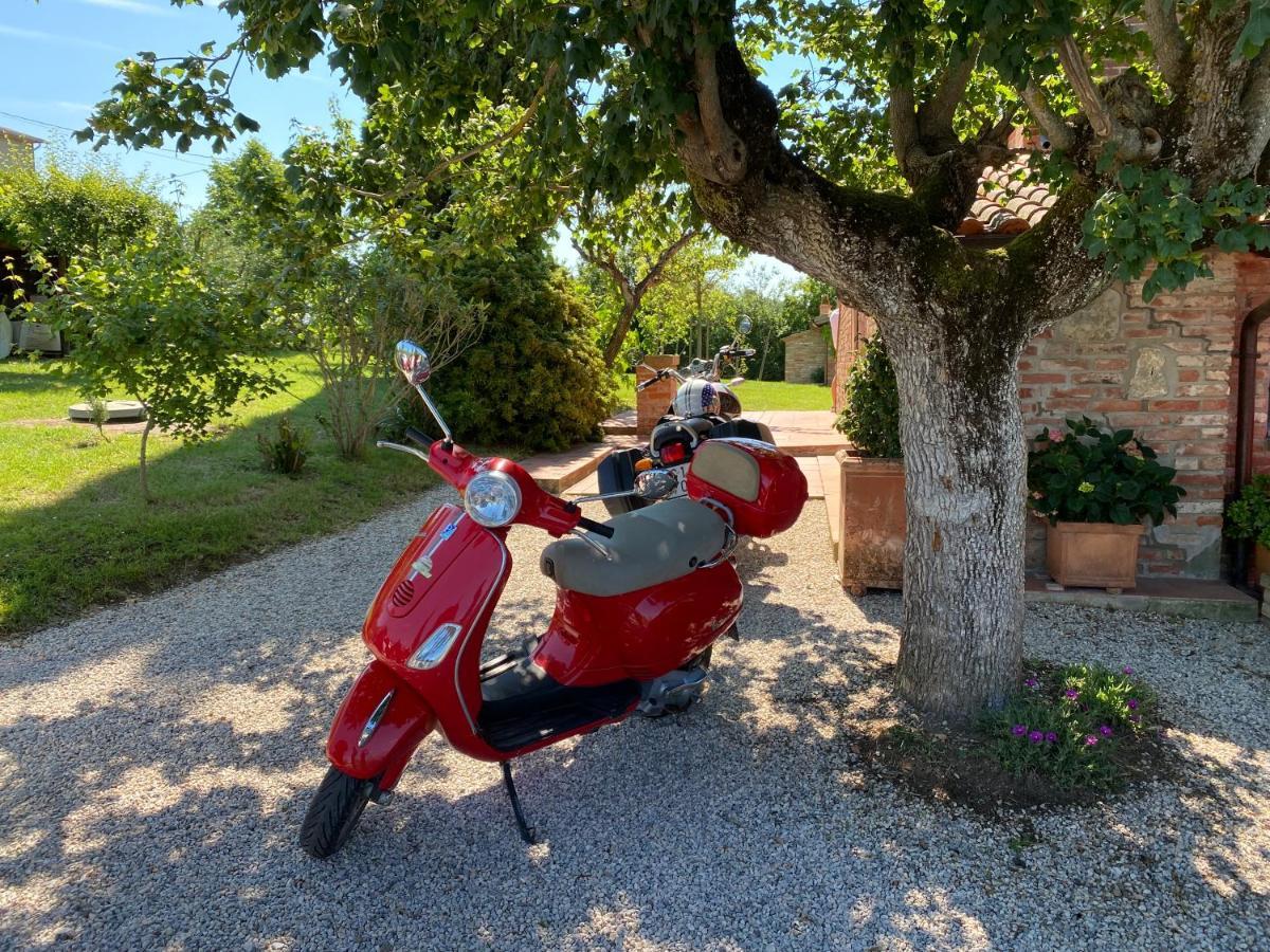 La Bacaia Villa Marciano della Chiana Dış mekan fotoğraf